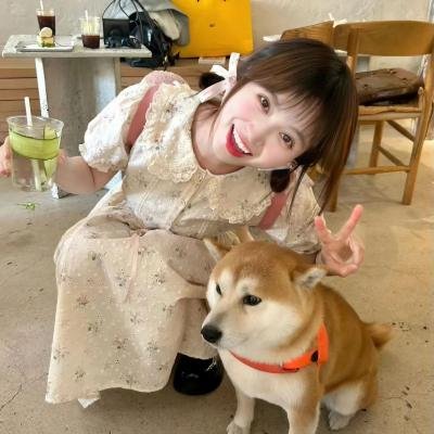 我的狐仙女友封面